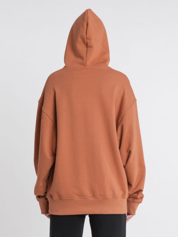 Young and Bipolar Minimal Brown Hoodie Basic Line