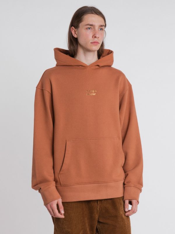 Young and Bipolar Minimal Brown Hoodie Basic Line